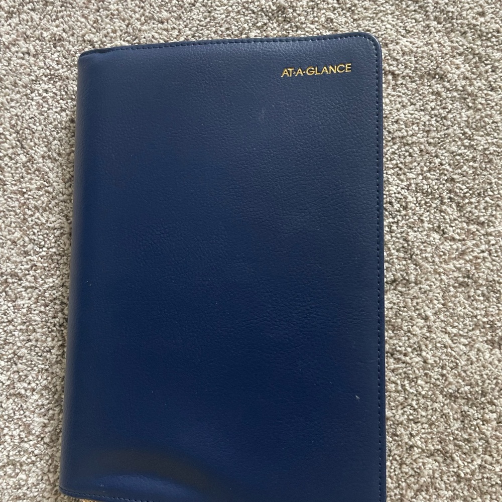AT-A-GLANCE Blue Planner
